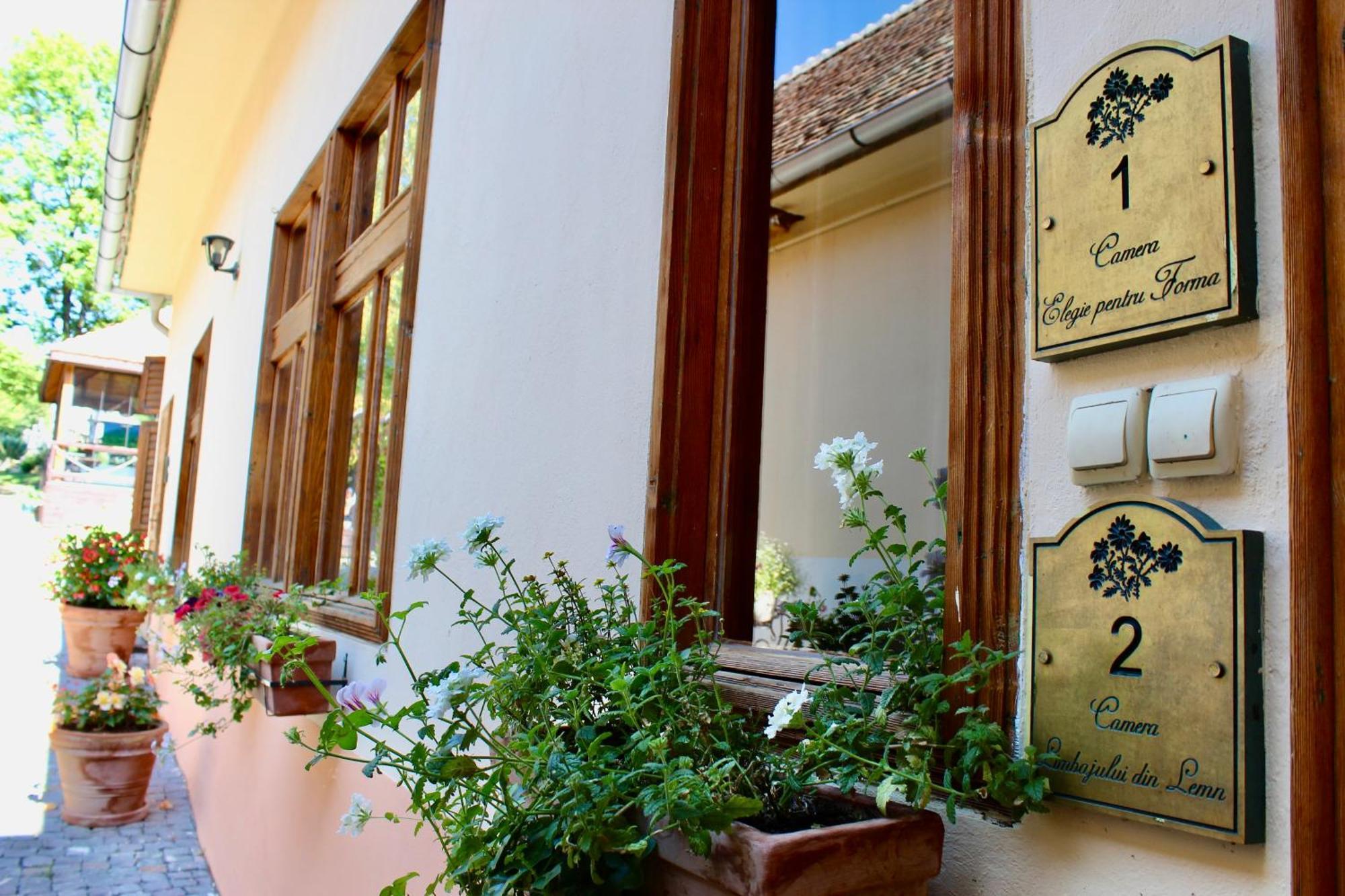 Pensiunea Agora Cisnadioara Exteriér fotografie