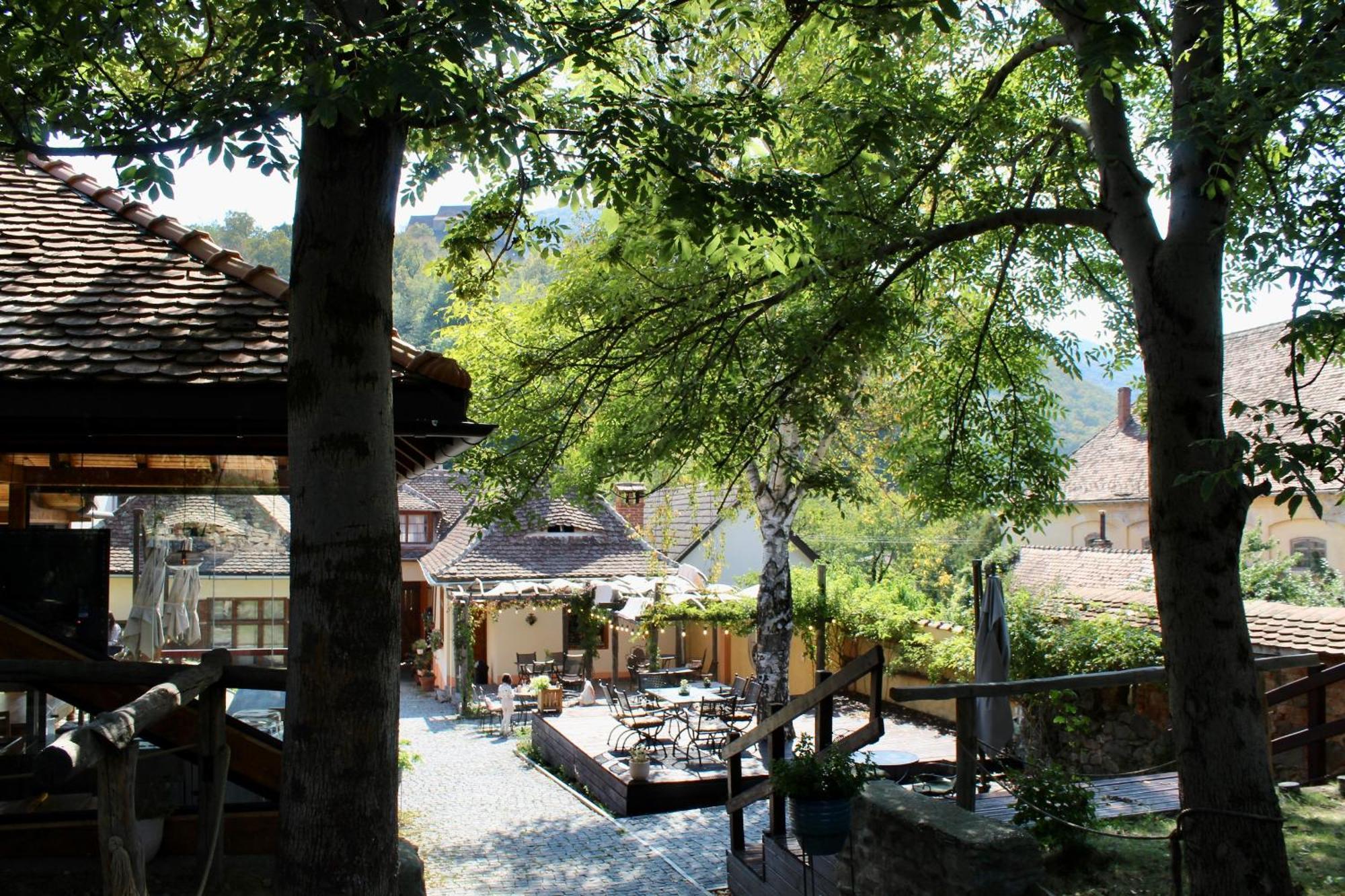Pensiunea Agora Cisnadioara Exteriér fotografie