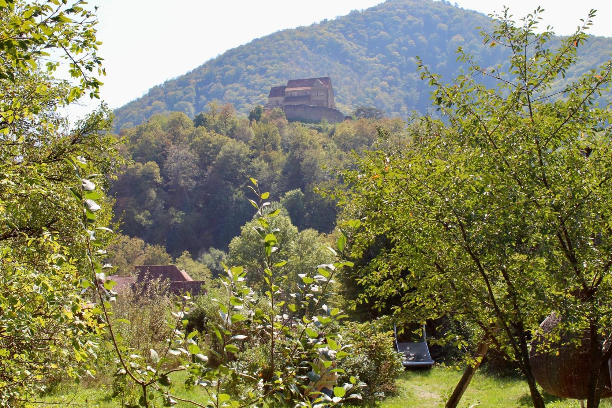 Pensiunea Agora Cisnadioara Exteriér fotografie