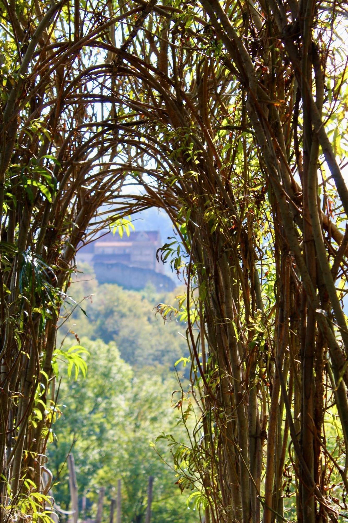 Pensiunea Agora Cisnadioara Exteriér fotografie